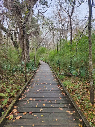 Acadiana park mountain bike trails hot sale