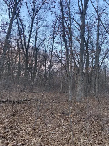 Hidden Bliss: 5 Scenic Hiking Trails in Hobart - Indiana