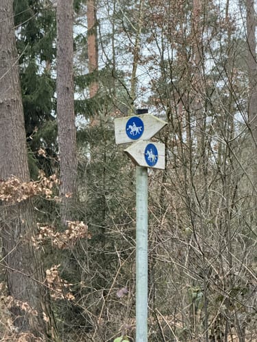 Kleine Leucht Runde
