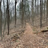 Nolde Forest Trail Pennsylvania - EyJidWNrZXQiOiJhc3NldHMuYWxsdHJhaWxzLmNvbSIsImtleSI6InVwbG9hZHMvcGhvdG8vaW1hZ2UvNzAyNzc0NTUvMGY4ZWU0Mzg1NzAzMjQ4OWNlNTdlYWZmZWM0NTNhYmYuanBnIiwiZWRpdHMiOnsidG9Gb3JtYXQiOiJqcGVnIiwicmVzaXplIjp7IndpZHRoIjoxNjAsImhlaWdodCI6MTYwLCJmaXQiOiJjb3ZlciJ9LCJyb3RhdGUiOm51bGwsImpwZWciOnsidHJlbGxpc1F1YW50aXNhdGlvbiI6dHJ1ZSwib3ZlcnNob290RGVyaW5naW5nIjp0cnVlLCJvcHRpbWlzZVNjYW5zIjp0cnVlLCJxdWFudGlzYXRpb25UYWJsZSI6M319fQ==