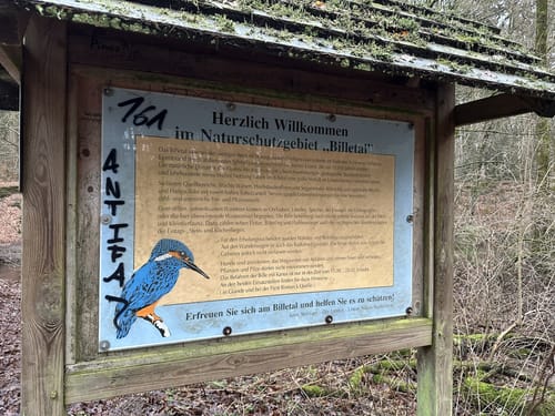 Langlauf Sachsenwald Ohe