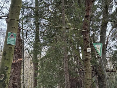 Langlauf Sachsenwald Ohe