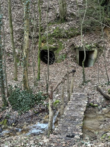 Rund um Frankendorf