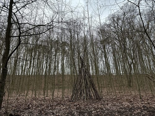 Langlauf Sachsenwald Ohe