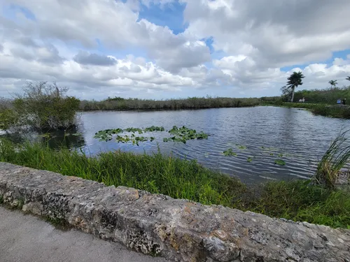 Homestead Florida Airboat Tours