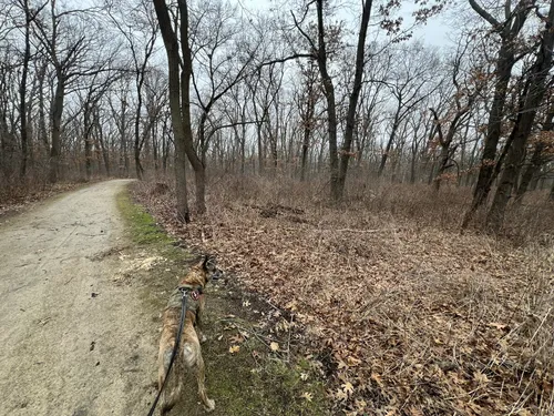 Lakefront Adventures: 5 Beautiful Hiking Trails in Waukegan – Illinois