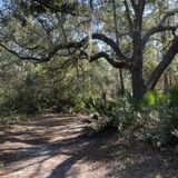 Doris Leeper Trail, Florida - 582 Reviews, Map | AllTrails