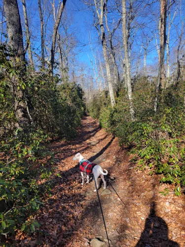 Escape to Serenity: Becket Hill State Park Reserve, Your Gateway to Nature's Embrace