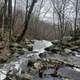 Rose River Trail, Virginia - 4,331 Reviews, Map | AllTrails