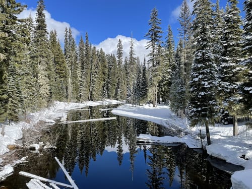 Best cross-country skiing trails in Oakridge | AllTrails