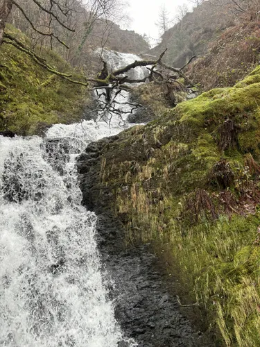 Cwm rhaeadr deals