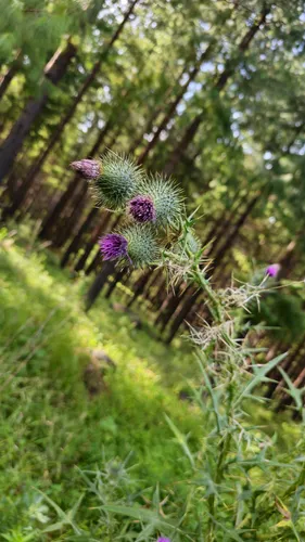 Best Hikes and Trails in Stutterheim | AllTrails