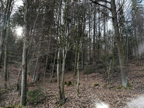 Bundeswanderweg Siebenmühlental