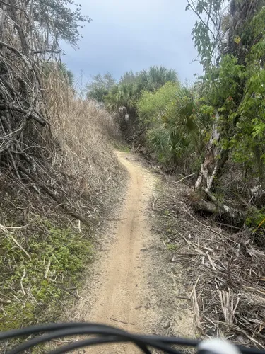 Caloosahatchee regional park mountain best sale bike trail