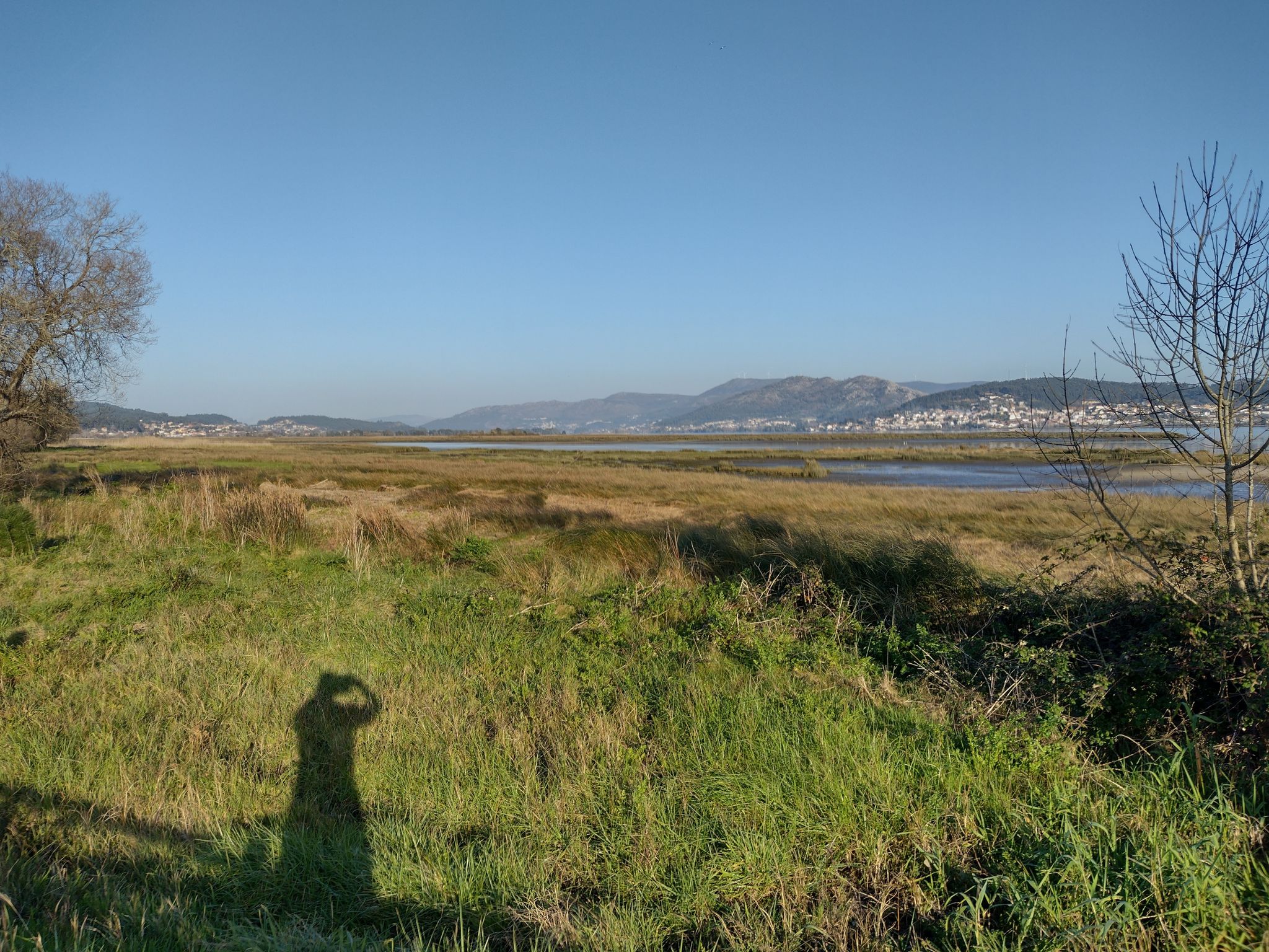 Photos of Pontevedra, Spain dogs on leash trails | AllTrails