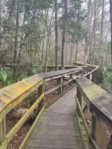 Best Hikes and Trails in Sawmill Slough Preserve | AllTrails