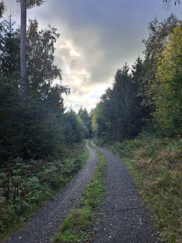Oesterberge Rundweg A6