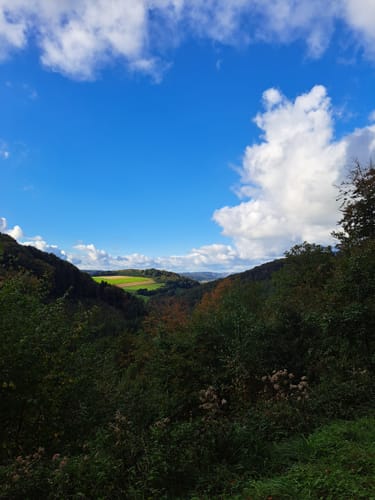 Oesterberge Rundweg A6