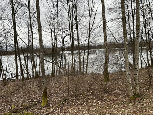 Nördlicher und Südlicher Waldsee