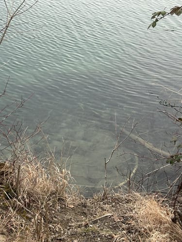 Nördlicher und Südlicher Waldsee