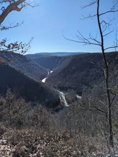 Best Hikes And Trails In Pine Creek Gorge Natural Area AllTrails   EyJidWNrZXQiOiJhc3NldHMuYWxsdHJhaWxzLmNvbSIsImtleSI6InVwbG9hZHMvcGhvdG8vaW1hZ2UvNzAzNDg1MDkvOWZmN2Y3ZGE0ZTllN2FlMDM2NmVlOTI2MWNmMmM3M2MuanBnIiwiZWRpdHMiOnsidG9Gb3JtYXQiOiJ3ZWJwIiwicmVzaXplIjp7IndpZHRoIjo1MDAsImhlaWdodCI6NTAwLCJmaXQiOiJpbnNpZGUifSwicm90YXRlIjpudWxsLCJqcGVnIjp7InRyZWxsaXNRdWFudGlzYXRpb24iOnRydWUsIm92ZXJzaG9vdERlcmluZ2luZyI6dHJ1ZSwib3B0aW1pc2VTY2FucyI6dHJ1ZSwicXVhbnRpc2F0aW9uVGFibGUiOjN9fX0=