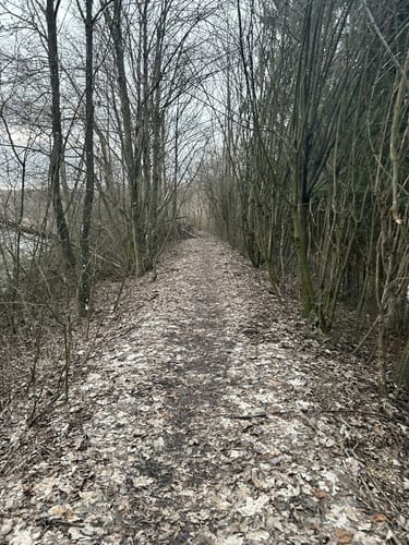 Nördlicher und Südlicher Waldsee