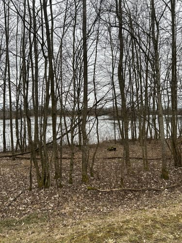 Nördlicher und Südlicher Waldsee
