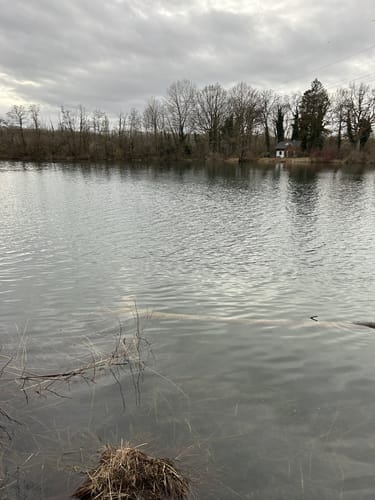 Nördlicher und Südlicher Waldsee