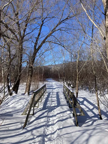 Best Bird Watching Trails in SaintLouisdeGonzagueduCapTourmente