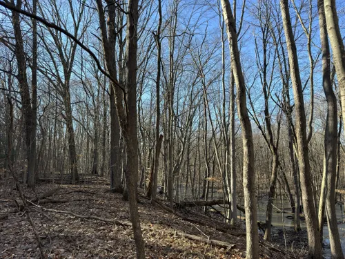 Best Hikes and Trails in Richfield County Park | AllTrails