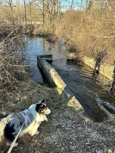 Best Hikes and Trails in Wolf Lake Fish Hatchery | AllTrails