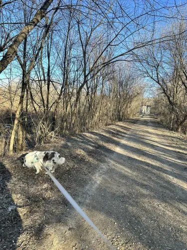 Best Hikes and Trails in Wolf Lake Fish Hatchery | AllTrails