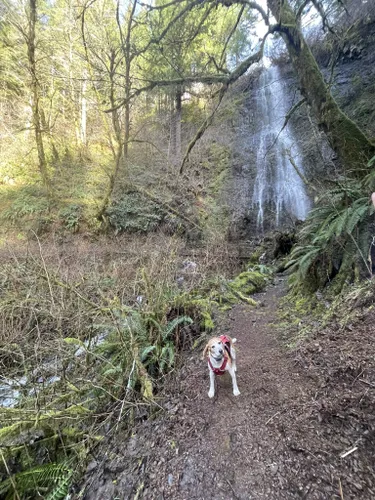 Best Waterfall Trails In Beaver Alltrails