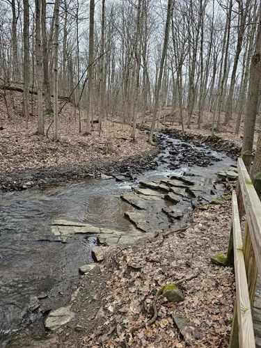 Historic Charm: 5 Scenic Hiking Trails in Lockport – New York