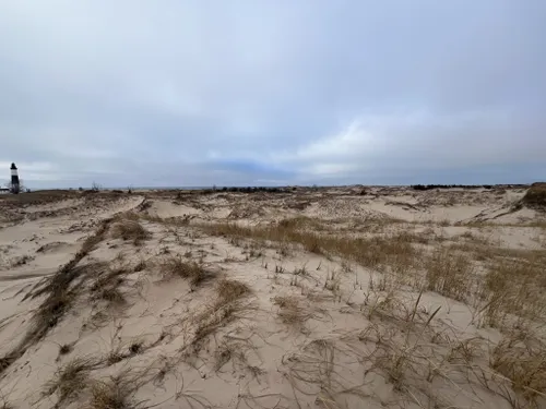 Best Hikes and Trails in Nordhouse Dunes Wilderness | AllTrails