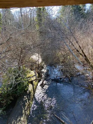 Best Lake Trails in Ravensdale | AllTrails