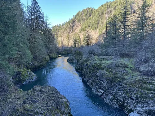 10 Best River Trails in Tillamook AllTrails