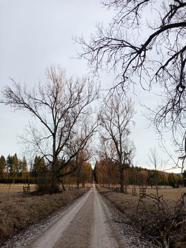 Im Unterhölzer Wald