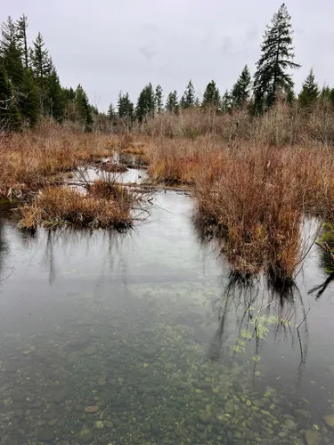 Best Lake Trails in Ravensdale | AllTrails