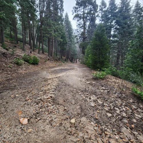 Best Snowshoeing Trails in Lake Arrowhead AllTrails