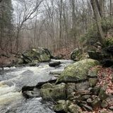 Black River Trail Loop, New Jersey - 2,691 Reviews, Map | AllTrails