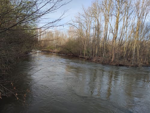 Rund um den Renaturierten Erftkanal