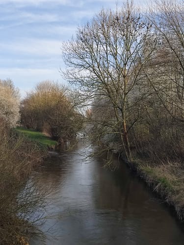 Rund um den Renaturierten Erftkanal
