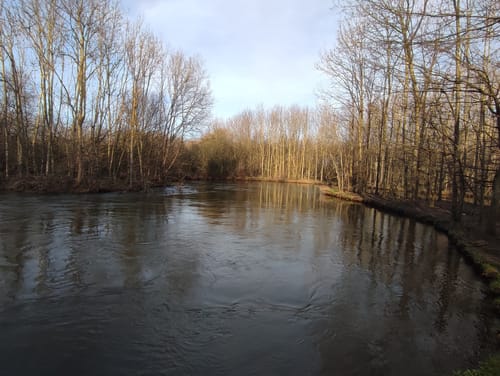 Rund um den Renaturierten Erftkanal