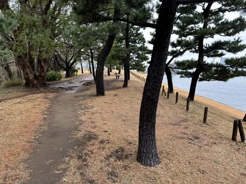 Best Hikes and Trails in Shiokaze Park AllTrails