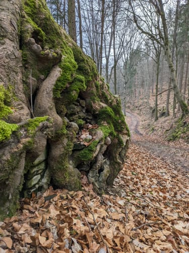 Zubringer Europäischer Wasserscheideweg: Wettringen