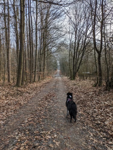 Zubringer Europäischer Wasserscheideweg: Wettringen