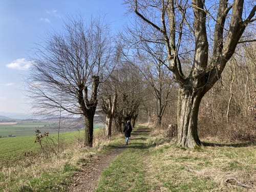 Rund um den Odenberg