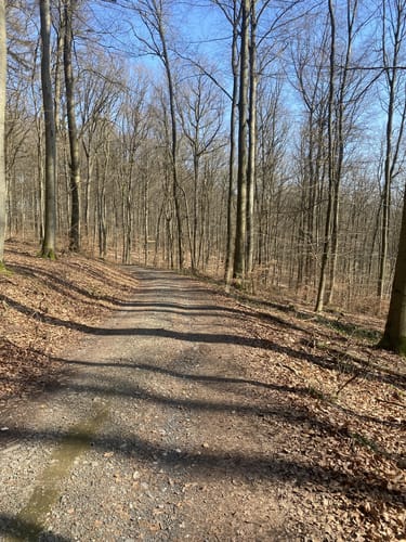 Buchfinkenland kleiner Rundwanderweg B3