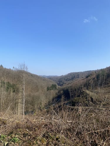 Buchfinkenland kleiner Rundwanderweg B3